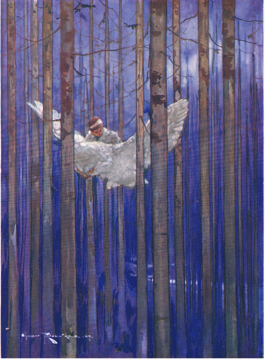 A coruja e Gilbert tiveram passeios esplêndidos ao luar (de The Forest Foundling) (cor litho) de Harry Rountree