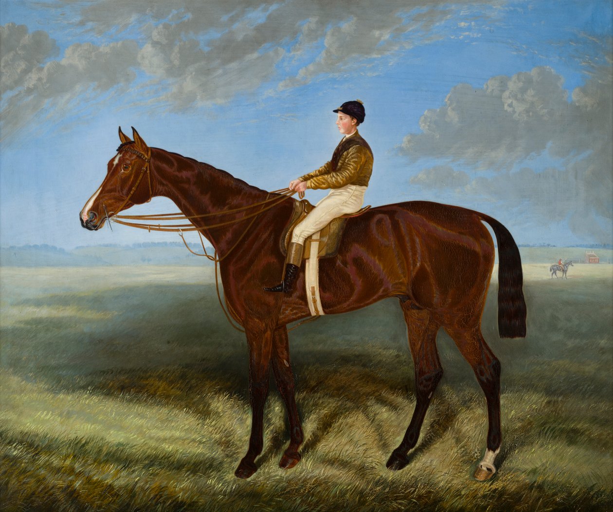 Salpinctes-a Race Horse, c.1814-82 (óleo sobre tela) de Harry (after) Hall