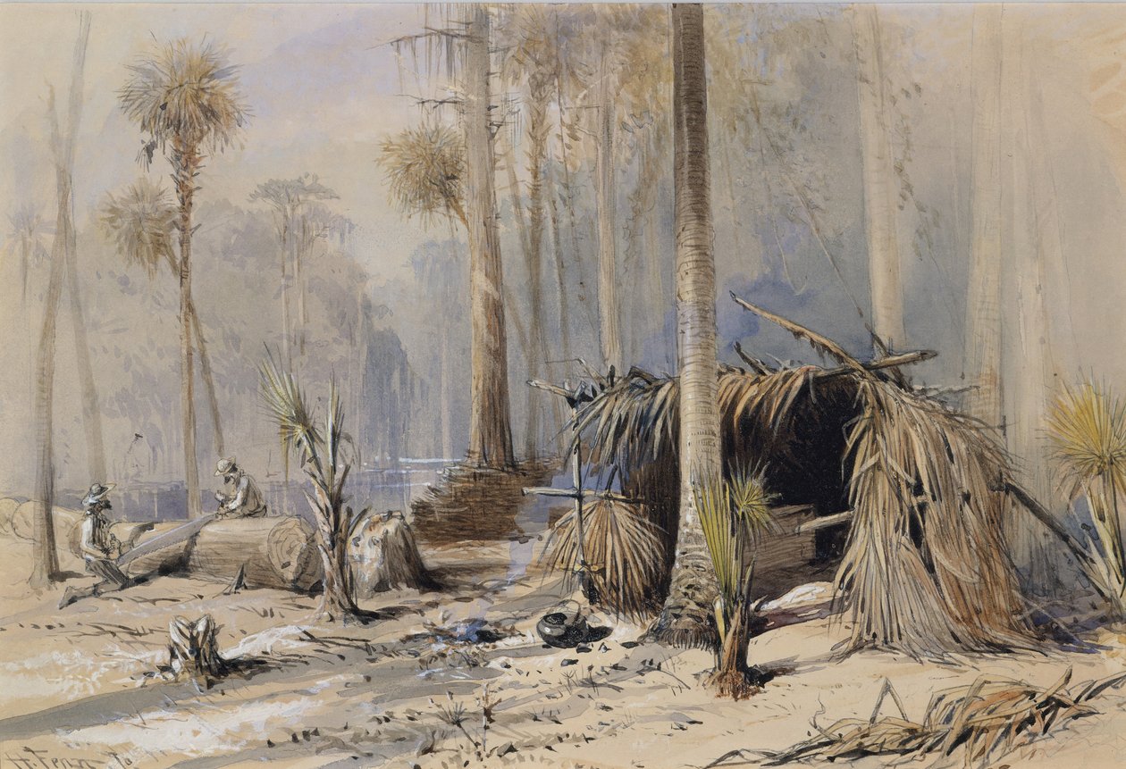 O Cypress-Shingle Yard, Rio Ocklawaha, Flórida, 1870. de Harry Fenn