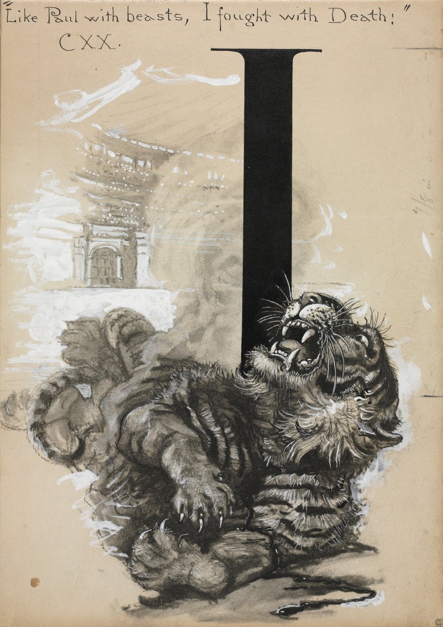 Tigre. de Harry Fenn