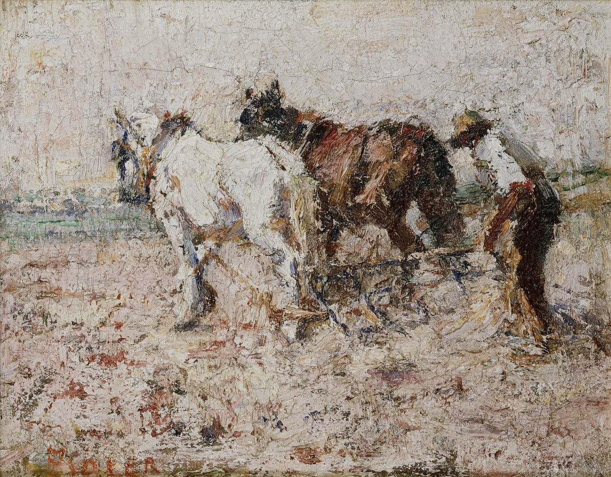 Angustiante de Harry Fidler