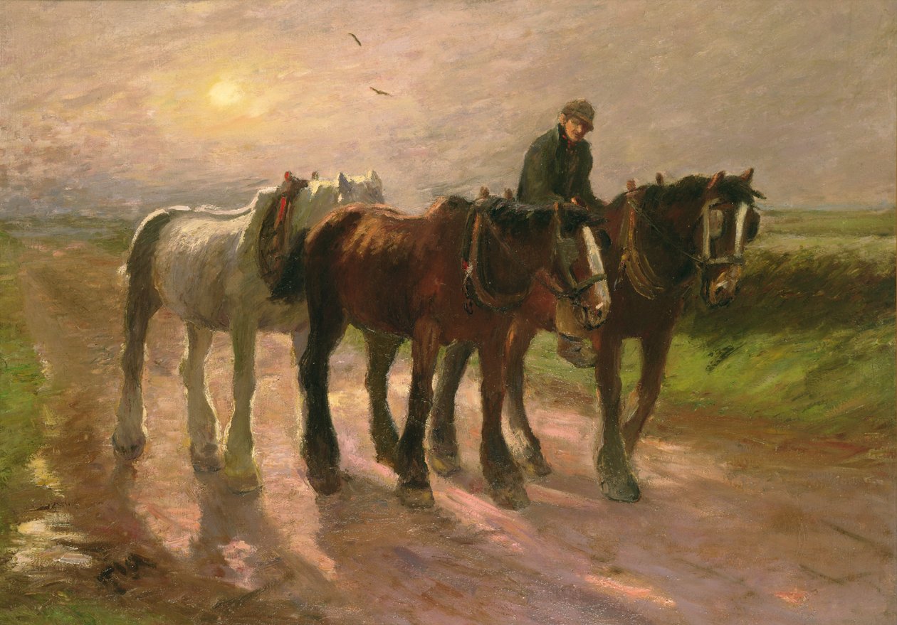 Homeward de Harry Fidler