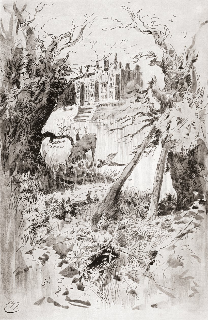 Bleak House. Ilustração de Harry Furniss para o romance Charles Dickens Bleak House, de The Testimonial Edition, publicado em 1910. de Harry Furniss