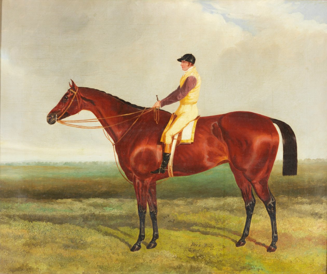 Asa de abelha, c.1840-45 de Harry Hall