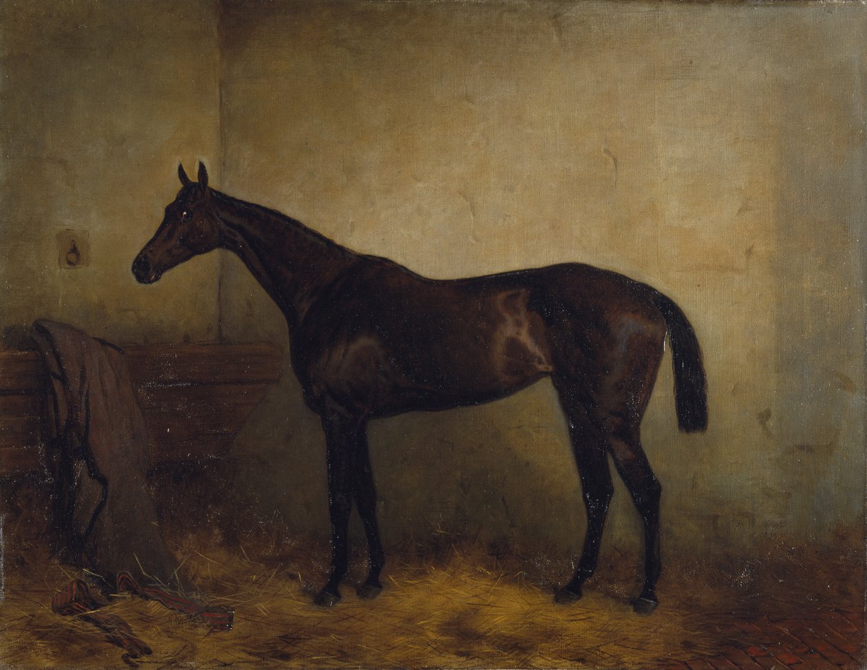 Chaplet, uma égua de corrida na baía numa caixa solta, c.1877 (óleo sobre tela) de Harry Hall