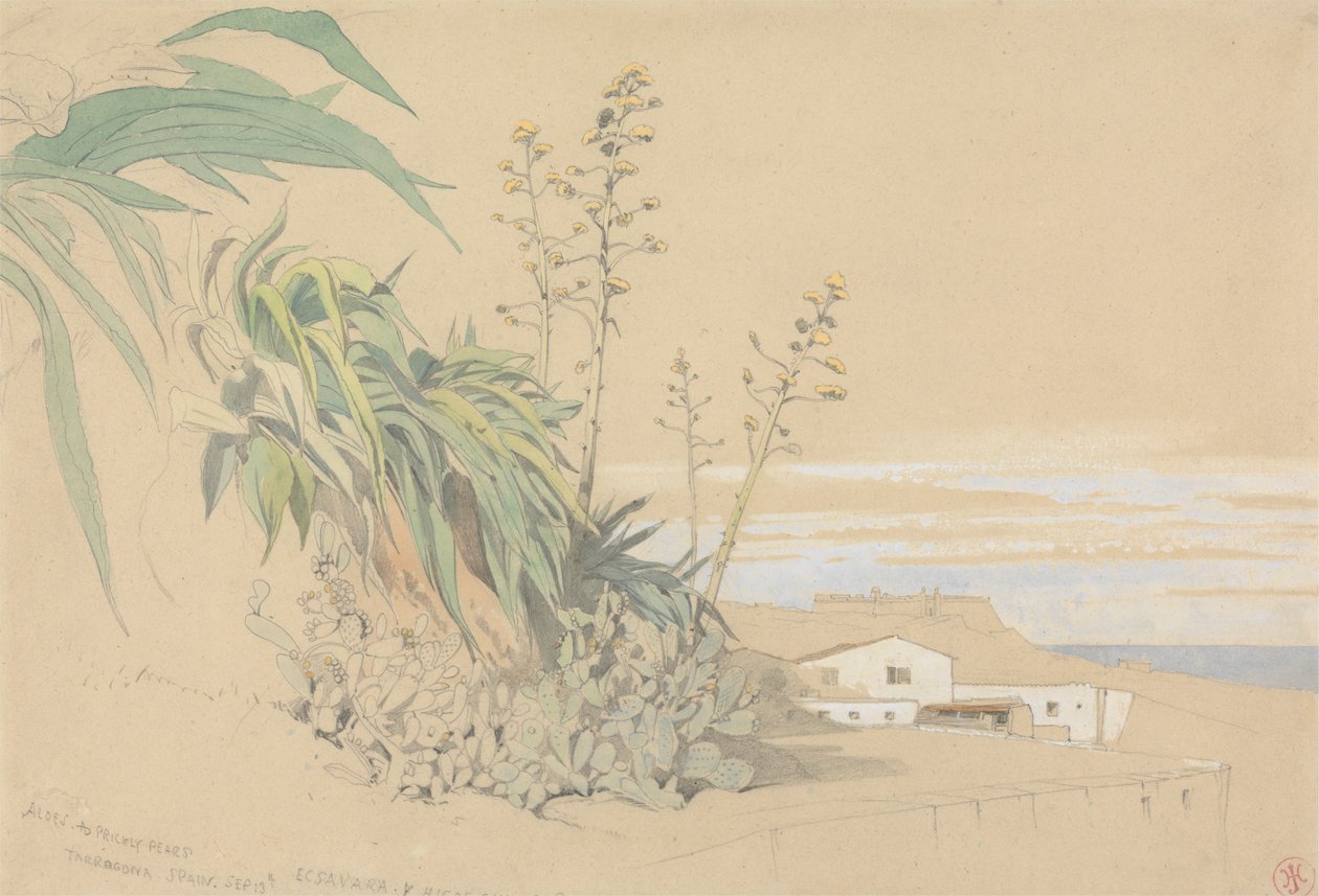 Aloes and Prickly Pears, Tarragona, Espanha de Harry John Johnson