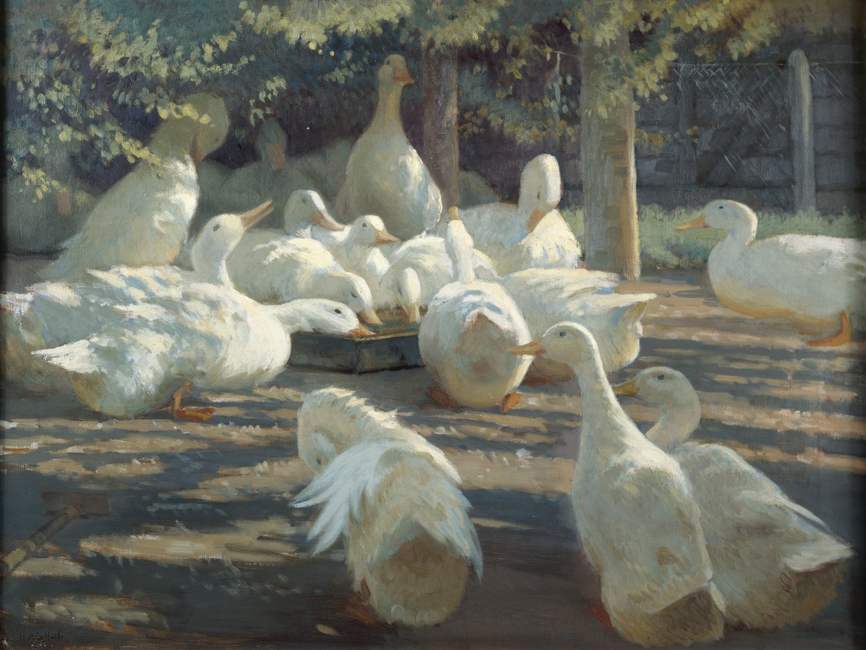 Luz do sol e sombra (óleo sobre tela) de Harry Percy Clifford