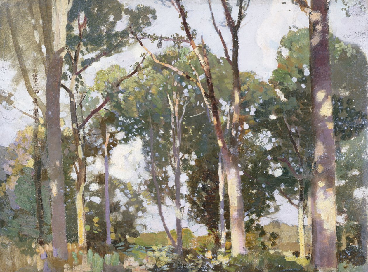 Árvores na luz solar (painel) de Harry Watson