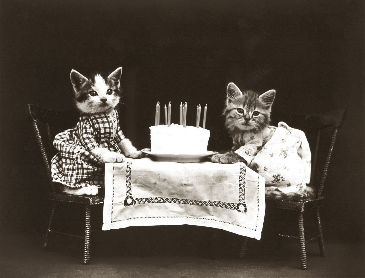 Série Kitties: Festa de Aniversário, c.1914 (impressão a prata) de Harry Whittier Frees