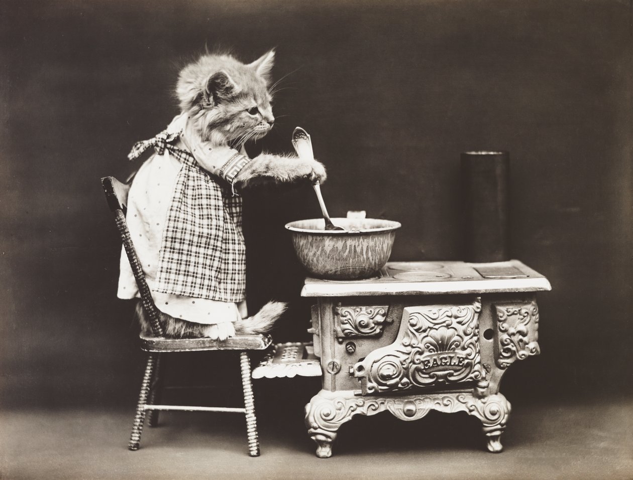Série Kitties: Cozinheiro no fogão, c.1914 (gravura em prata) de Harry Whittier Frees