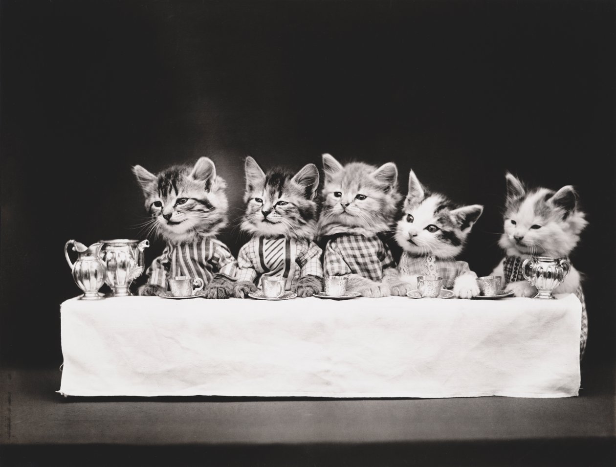 Série Kitties: Última Ceia, c.1914 (gravura em prata) de Harry Whittier Frees