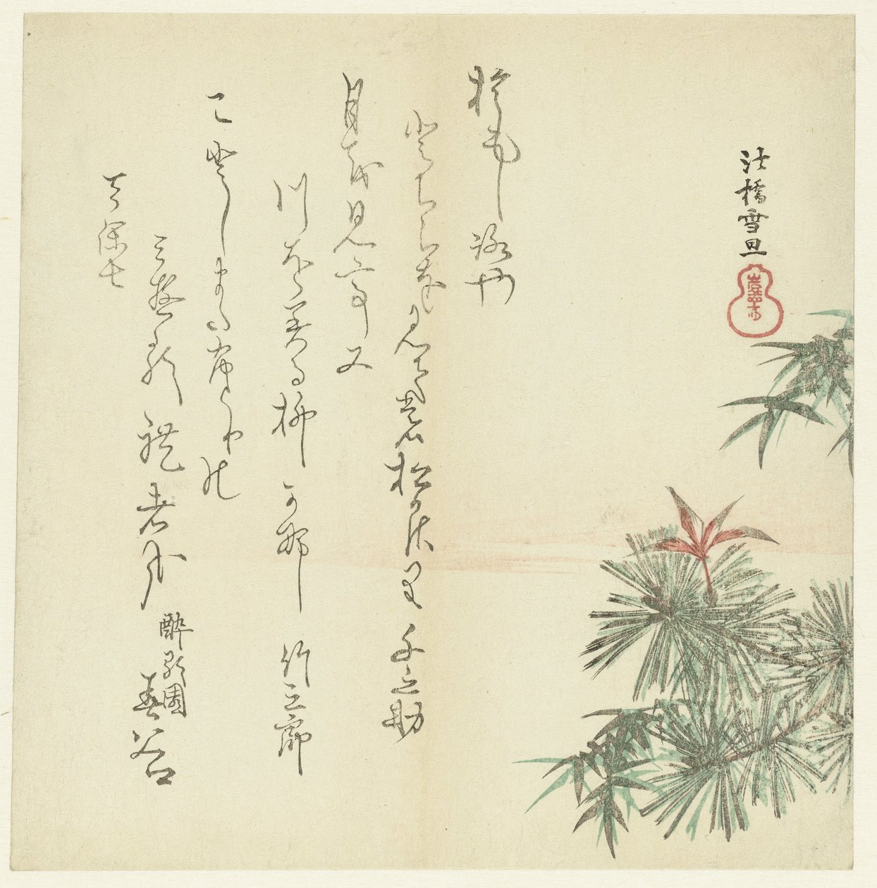 Pinheiros de Hasegawa Settan