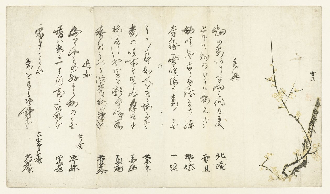 Ameixeira de Hasegawa Settan