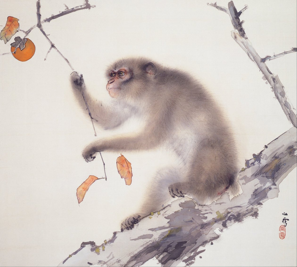 Macaco de Hashimoto Kansetsu
