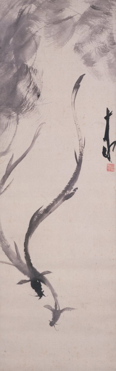 Enguias de Hayashi Jikko