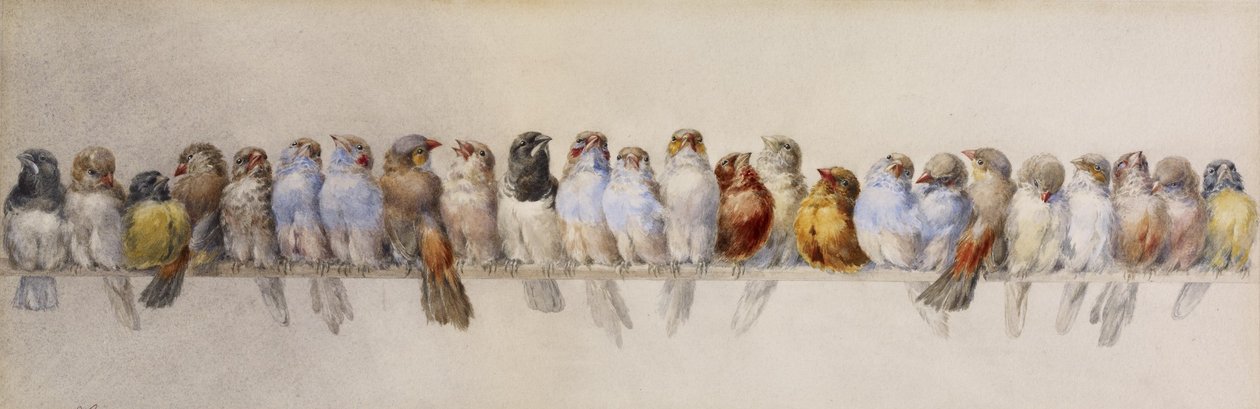 A Poleiro dos Pássaros, c.1880 (aquarela e grafite sobre papel) de Hector Giacomelli