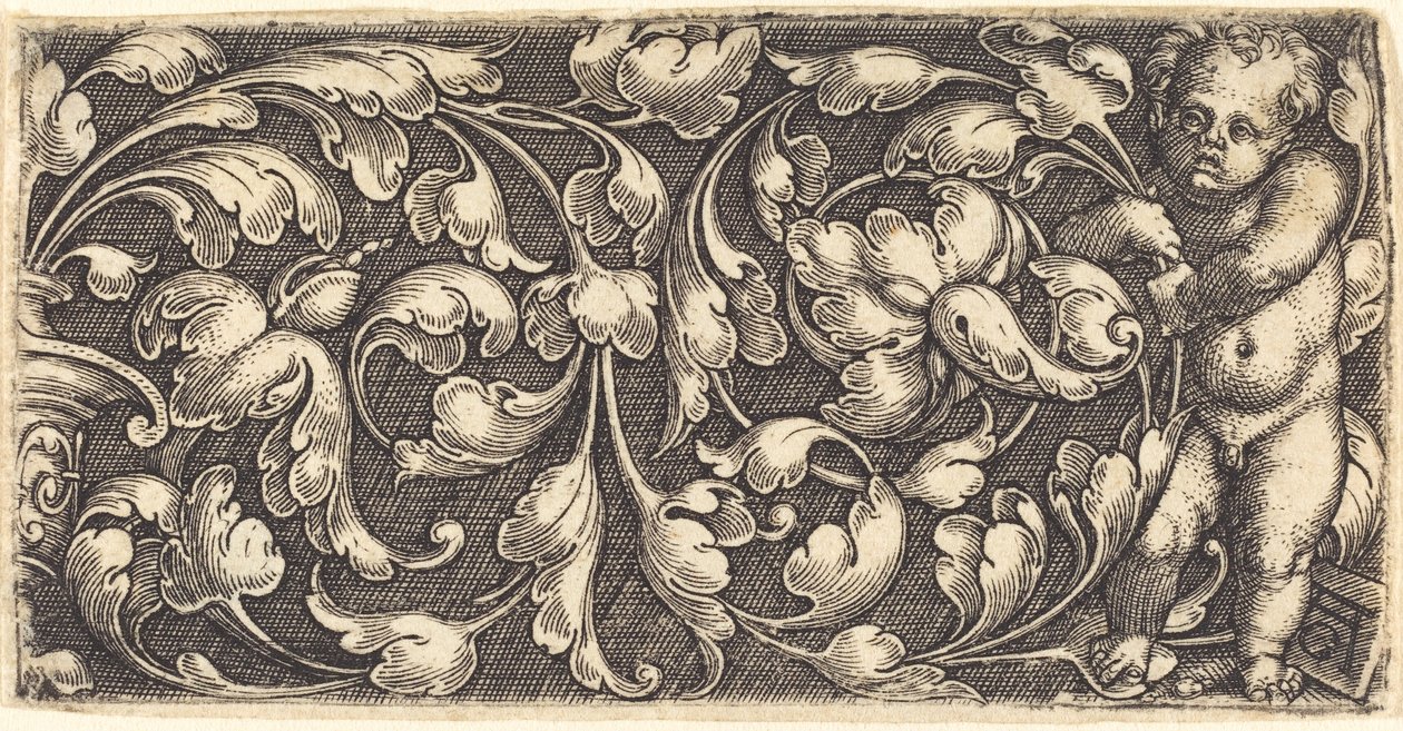 Naked Infant Holding a Double Scroll of Leafy Ornament de Heinrich Aldegrever