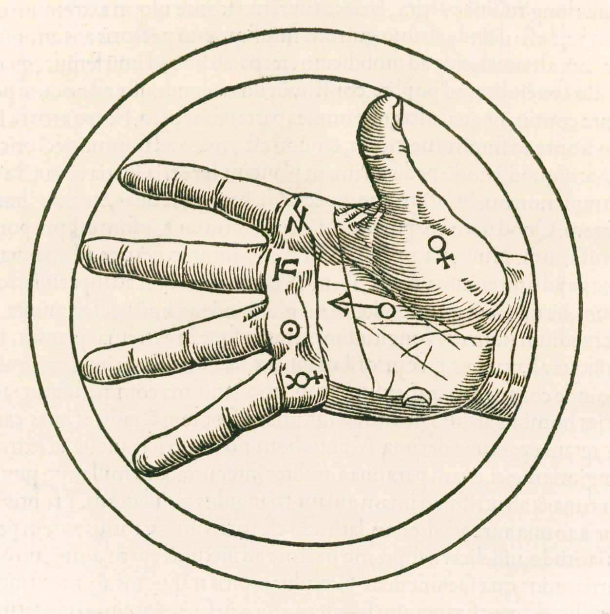 A mão da quiromancia gravura de Heinrich Cornelius Agripa de Nettesheim (1486-1535) De occulta philosophia libri tres (Três Livros de Filosofia Oculta) publicado em 1533. de Heinrich Cornelius Agrippa von Nettesheim
