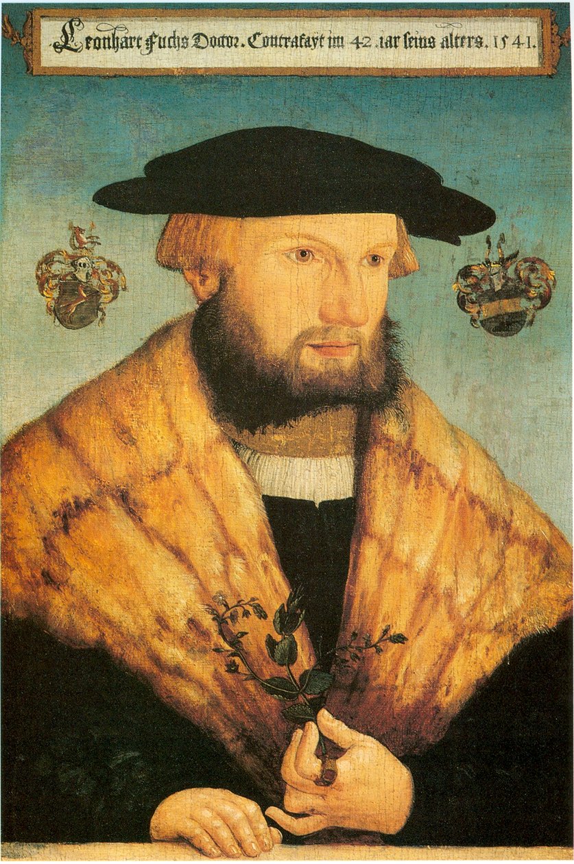 Retrato de Leonhart Fuchs (1501-1566) de Heinrich Füllmaurer