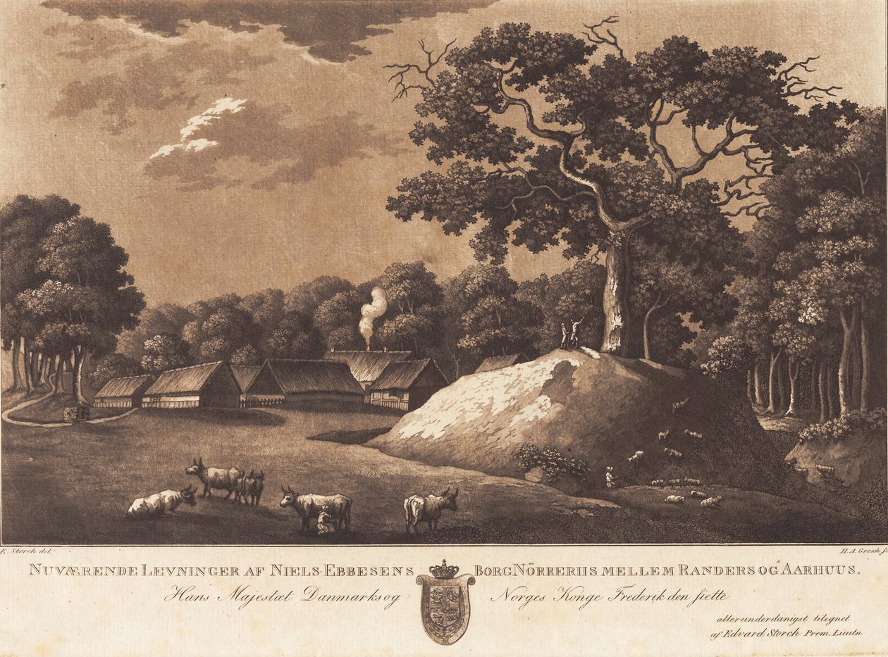 Restos atuais do castelo Nørreriis de Niels Ebbesen. E Storch parte. de Heinrich Grosch