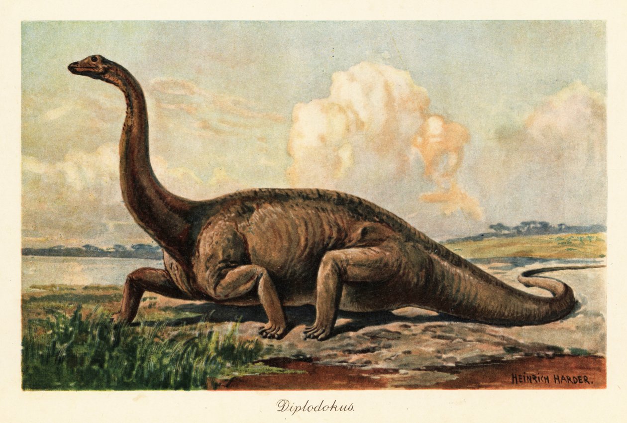 Extinto Diplodocus longus nas planícies. de Heinrich Harder