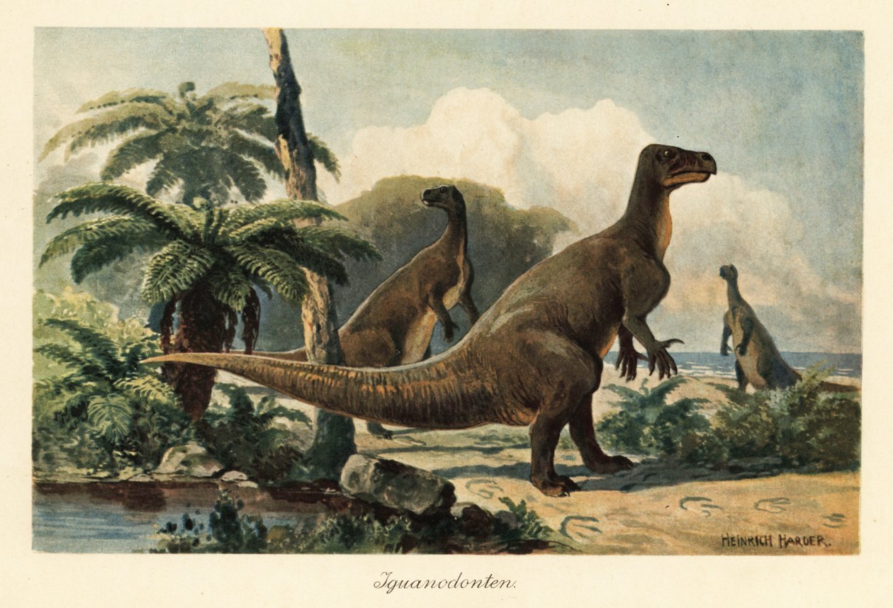 Iguanodon bernissartensis em uma floresta pré-histórica de samambaias. de Heinrich Harder