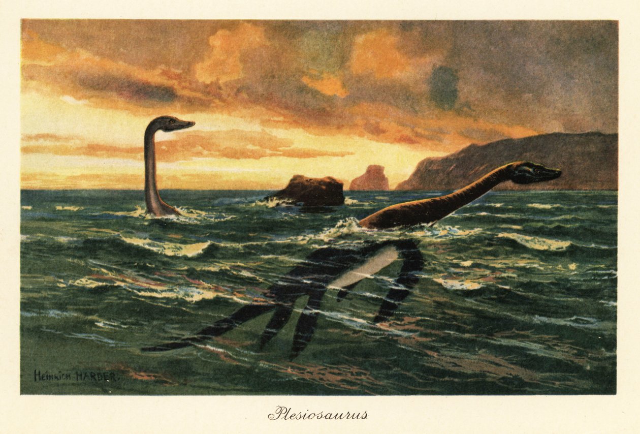 Plesiosaurus dolichodeirus no oceano. de Heinrich Harder