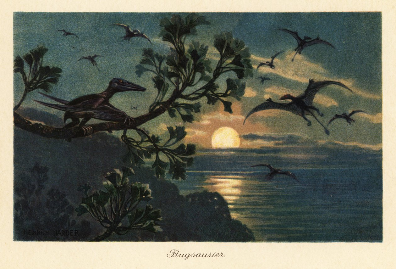 Rhamphorhynchus pterosaurs voando ao luar. de Heinrich Harder