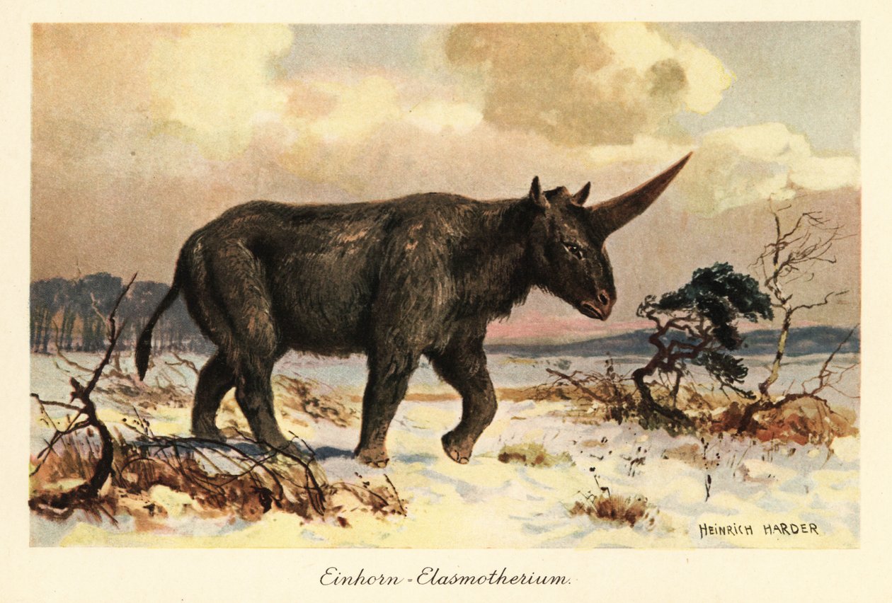 Unicórnio siberiano, Elasmotherium sibiricum, sobre uma planície nevada. de Heinrich Harder