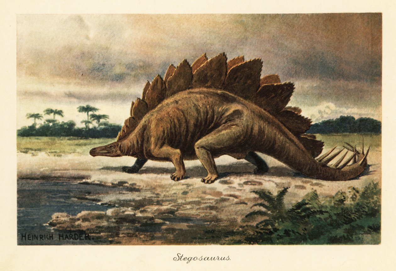 Estegosaurus armatus do Jurássico Final. de Heinrich Harder