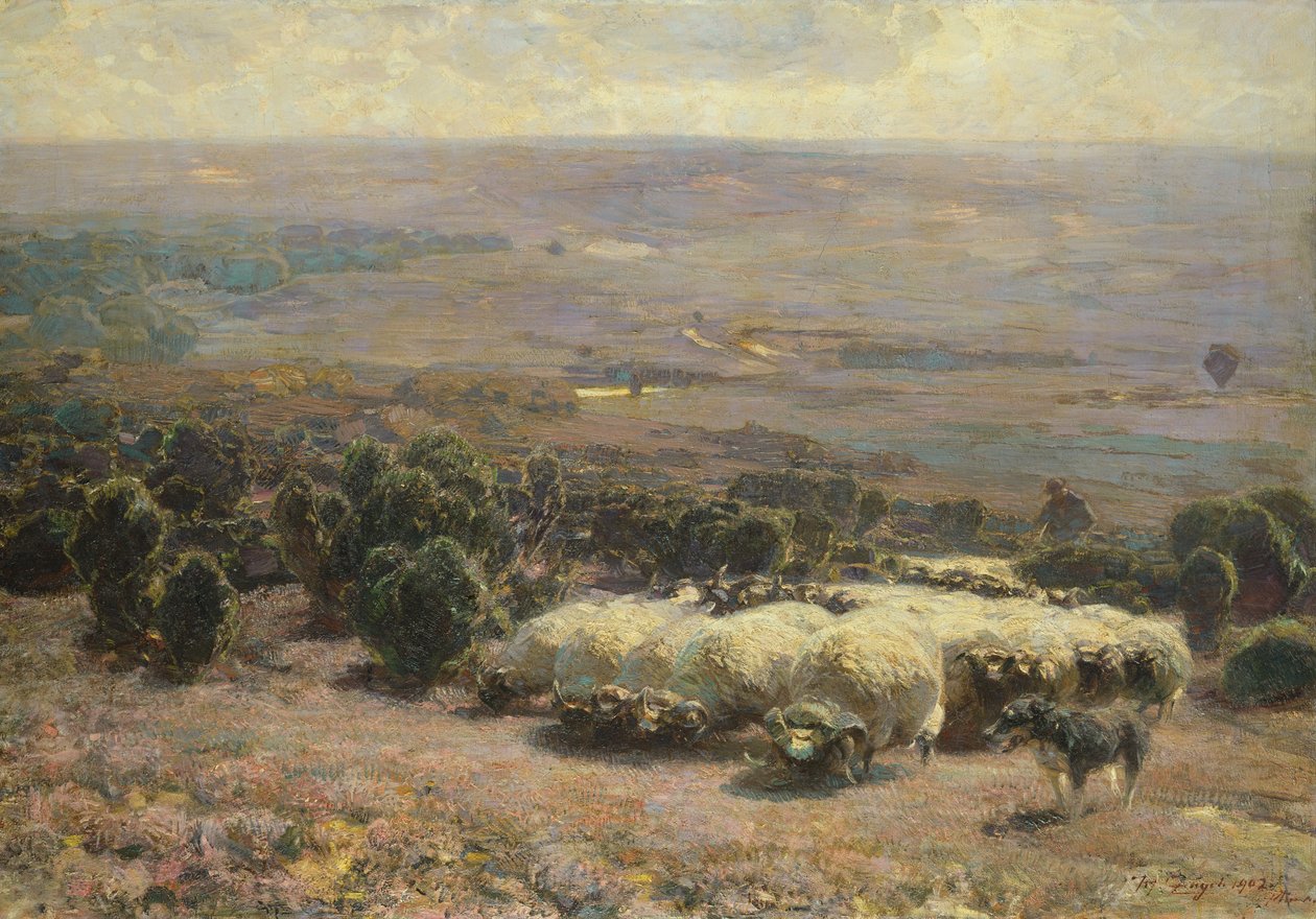 Um rebanho de ovelhas no Luneburger Heide, 1902 de Heinrich Johann von Zugel