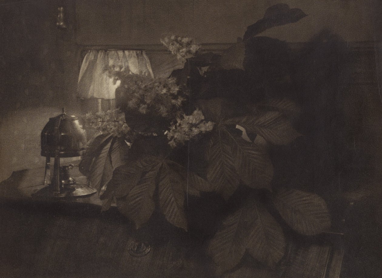[Natureza morta com flores de castanheiro-da-índia, candeeiro e urna]. de Heinrich Kuhn