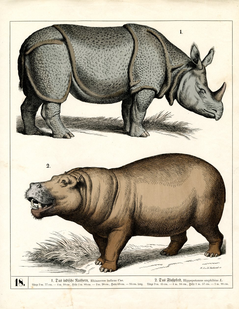  de Heinrich Leutemann