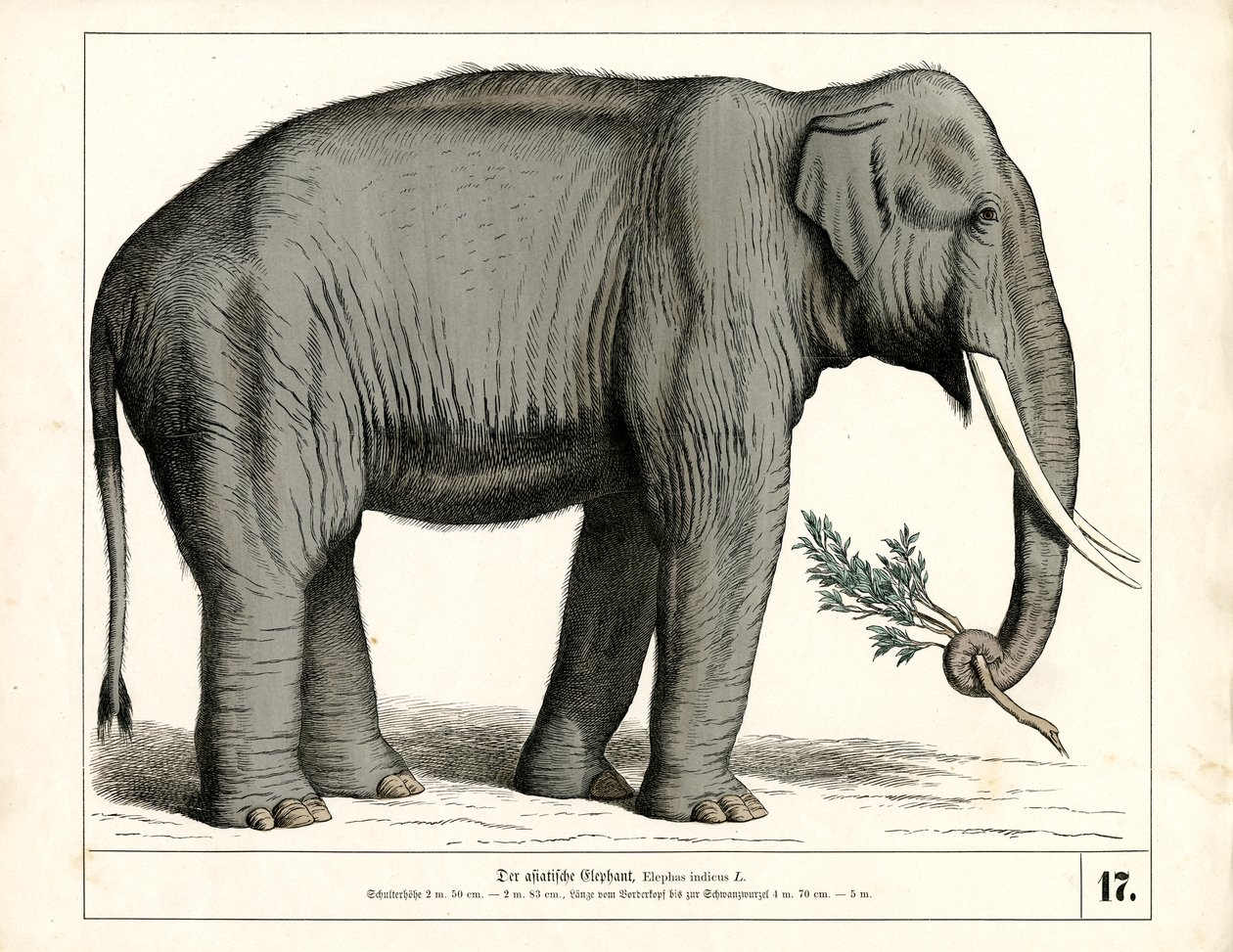  de Heinrich Leutemann
