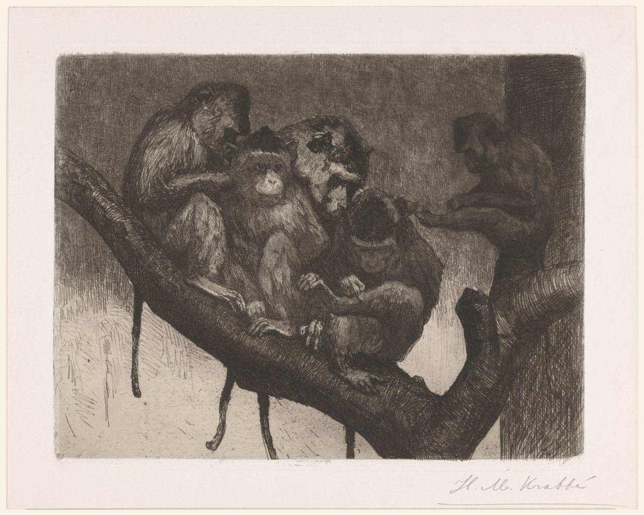 Cinco macacos em uma árvore de Heinrich M. Krabbé (signed by artist)