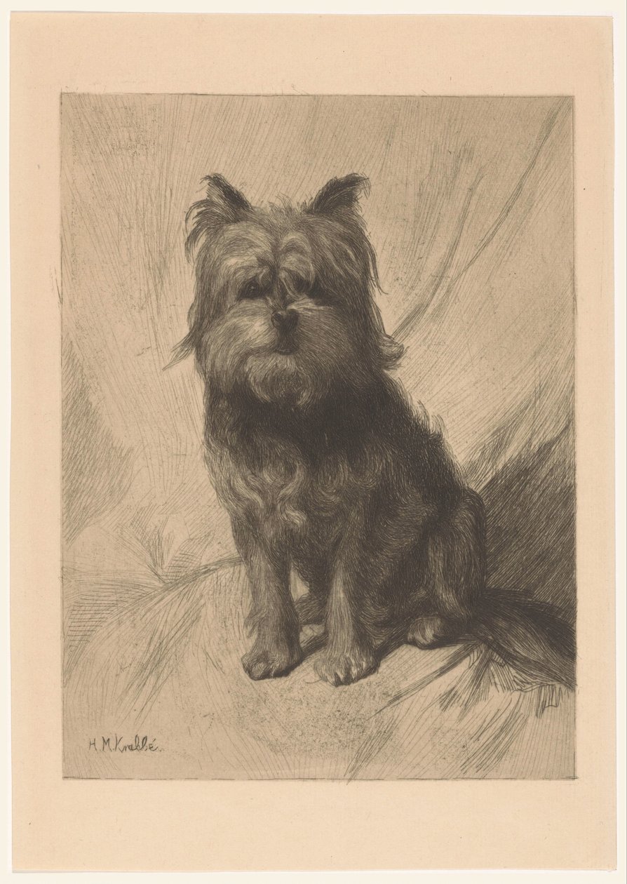 smoushond holandês de Heinrich M. Krabbé