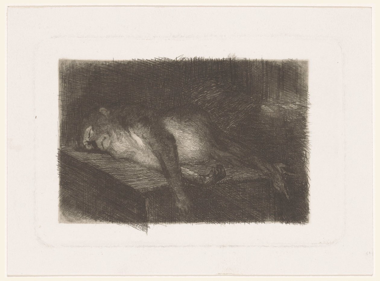 Macaco adormecido e recortado de Heinrich M. Krabbé