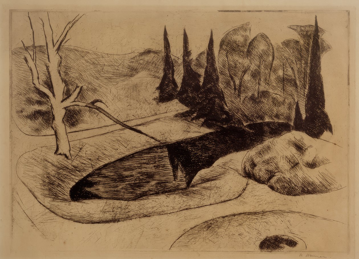 Parque em Dilborn, 1914 de Heinrich Nauen