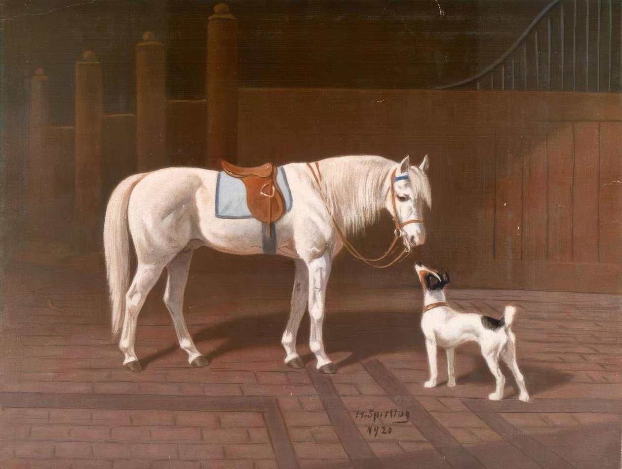 Cavalo, cavalo branco - H.Sperling de Heinrich Sperling