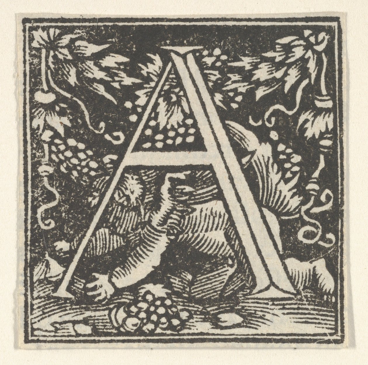 Letra inicial A com putto, ca. 1538. de Heinrich Vogtherr