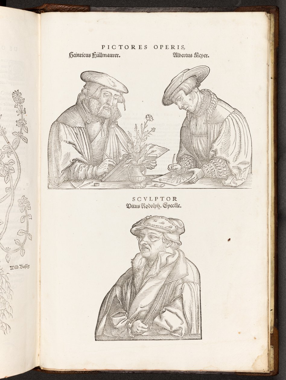 BT3.267.5 opp p896 Artistas e gravura, ilustração de De historia stirpium commentarii insignes de Leonhart Fuchs, 1542 de Heinrich and Meyer, Albert Fullmaurer