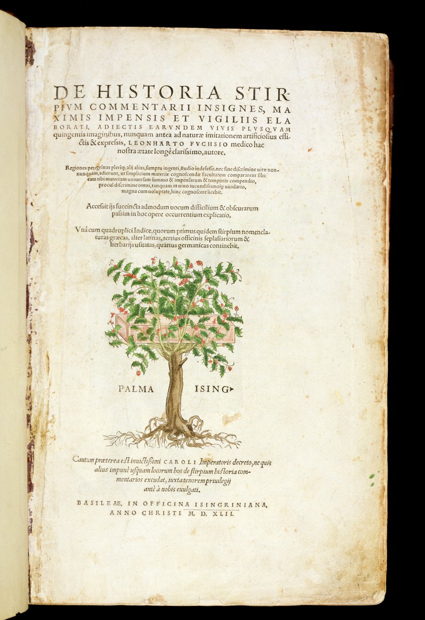 Página de título de "De Historia Stirpium Commentarii Insignes", de Leonard Fuchs (1501-66), gravada por Rodolphe Speckle (d.1550), publicada em 1542 de Heinrich and Meyer, Albert Fullmaurer