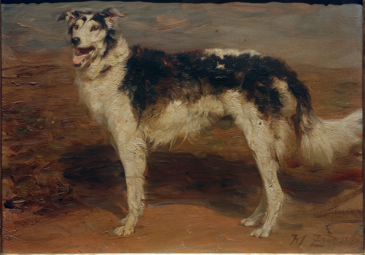 Greyhound de Heinrich von Zügel