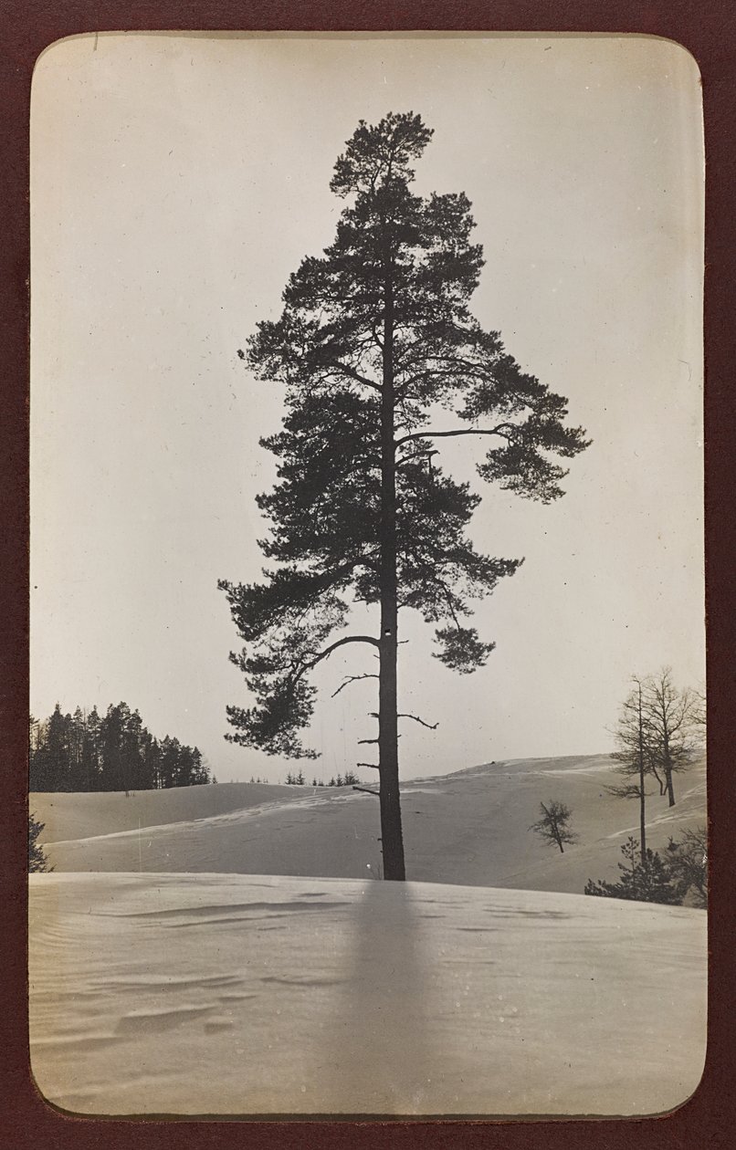 Primeira Guerra Mundial: a "Ucrânia nos anos 1914-1916 durante a invasão do exército alemão". Paisagem com neve (foto a p/b) de Heldenfriedhof Dsessentniki (attr. to)