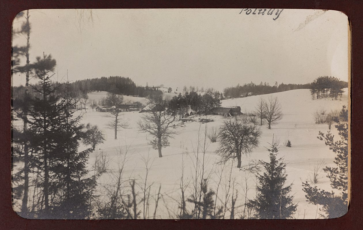 Primeira Guerra Mundial: a "Ucrânia nos anos 1914-1916 durante a invasão do exército alemão". Vista com neve (foto a p/b) de Heldenfriedhof Dsessentniki (attr. to)