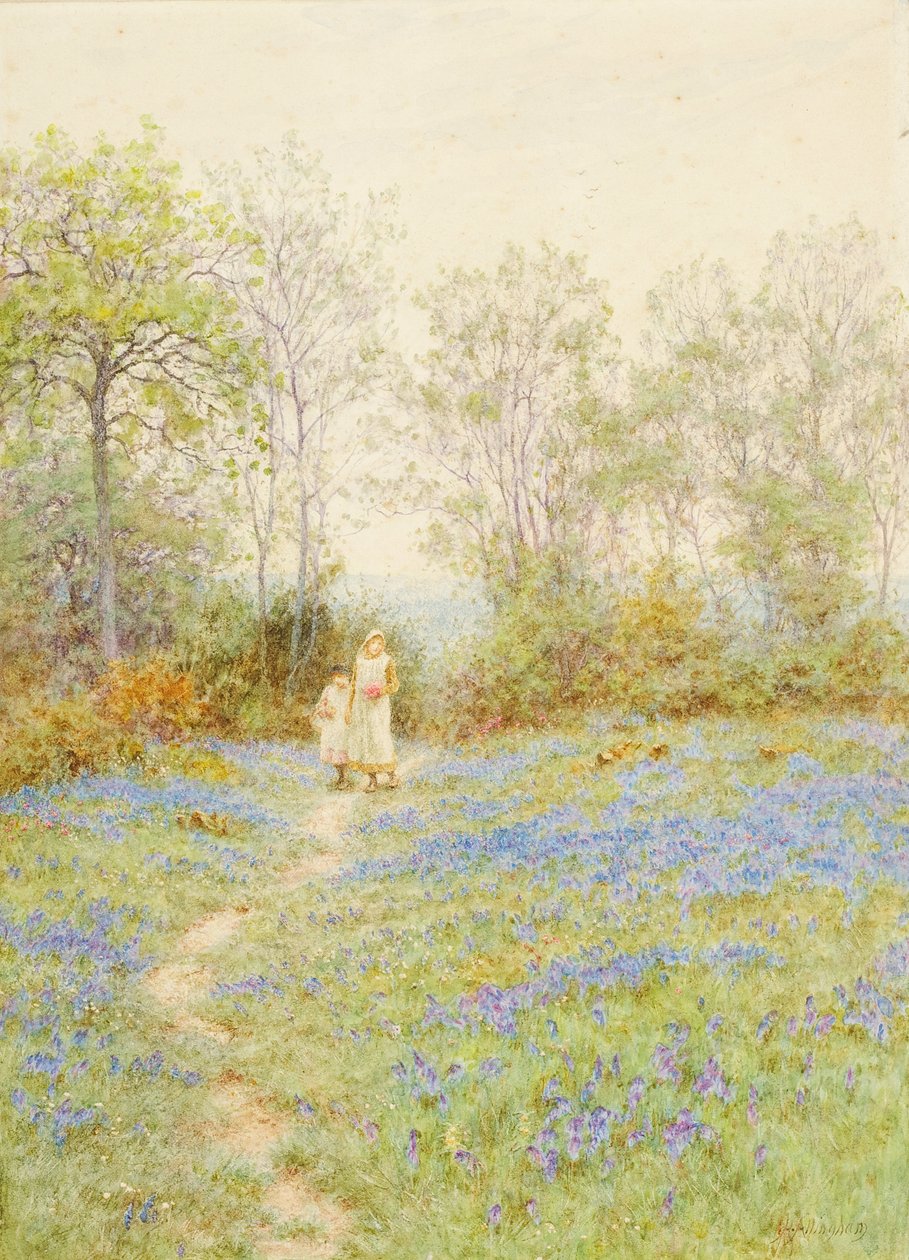 Bluebells de Helen Allingham