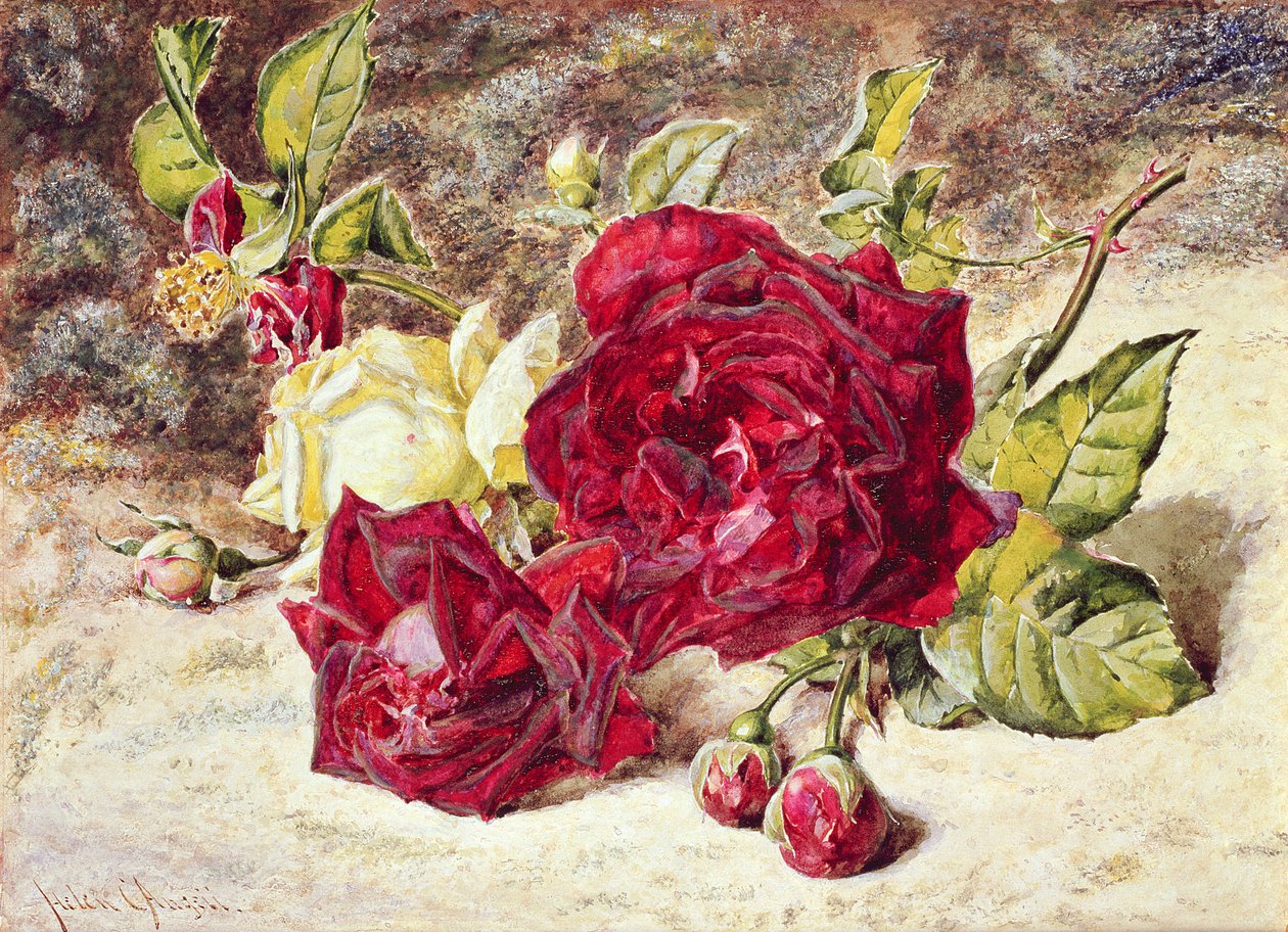 Um branco e duas rosas vermelhas e botões de Helen Cordelia Coleman Angell