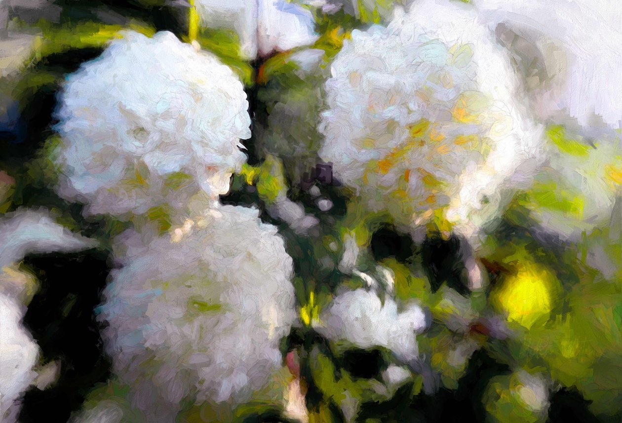 Big Blowsy Blooms, 2018, de Helen White