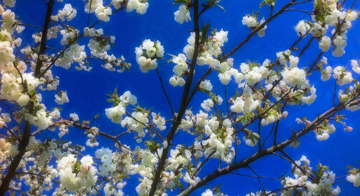Flor em azul, 2018, de Helen White