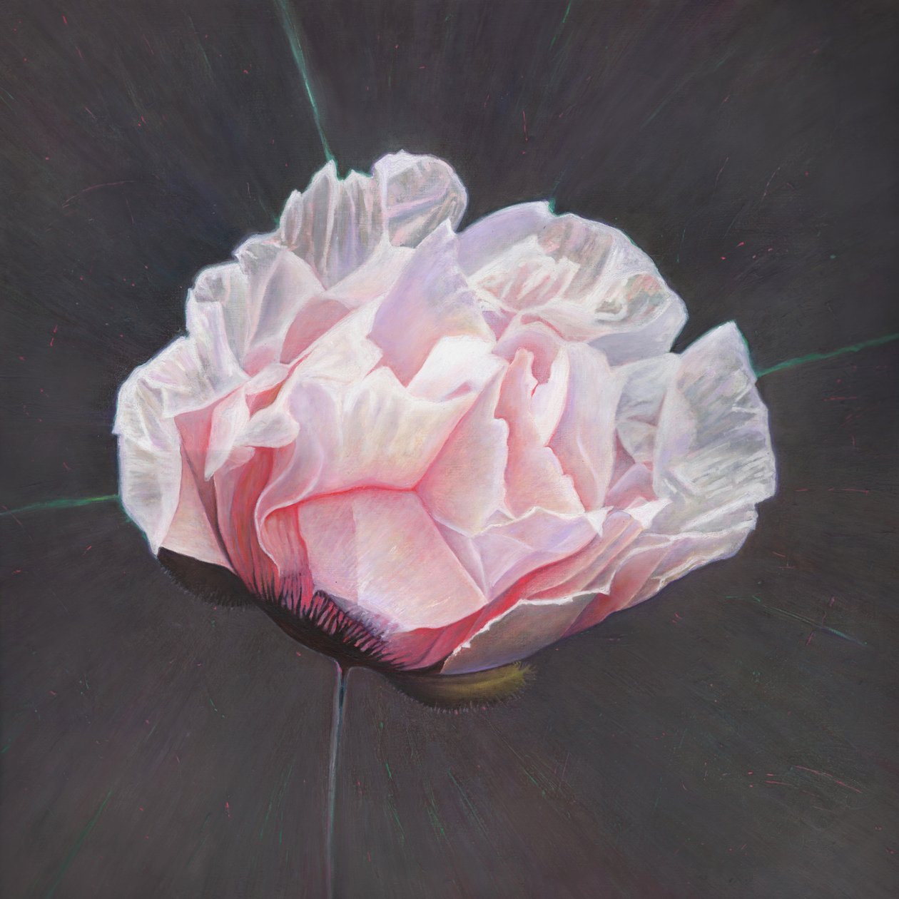 Emergência, 2015, de Helen White